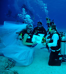 Свадьба под водой в Океанариуме